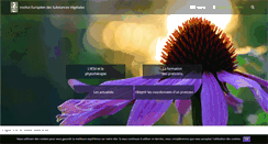 Desktop Screenshot of iesv.org